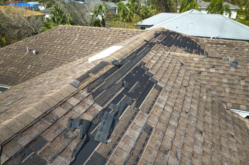 Shingle Damage Inspection