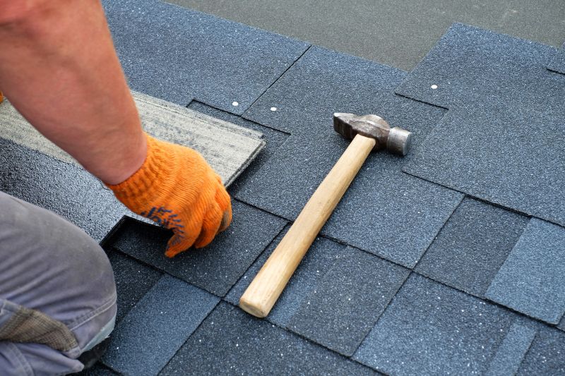 Routine Maintenance on Asphalt Roof